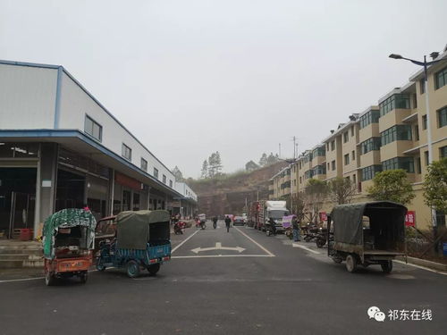 祁東縣大型活禽水產綜合批發市場 位置、功能與區域商貿新格局