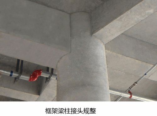 魯班獎 精品工程觀摩 大連恒隆廣場